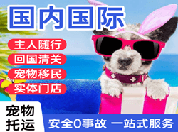 长乐航空物流国际宠物托运 【国